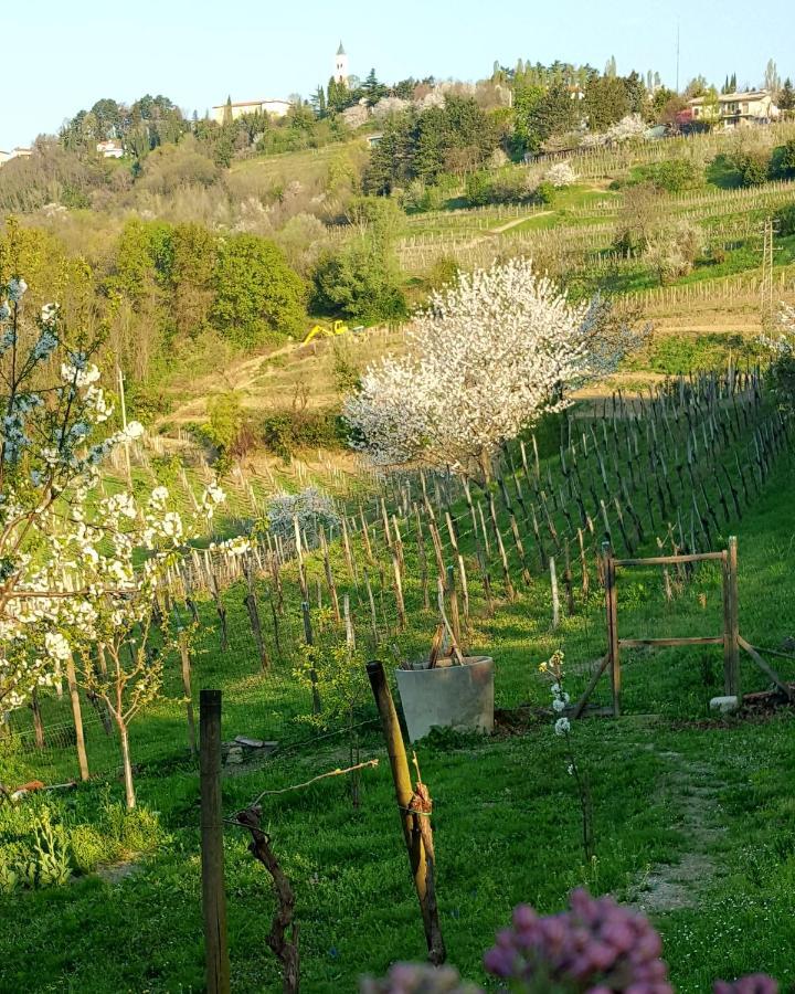 Casaroman San Floriano del Collio Exterior photo